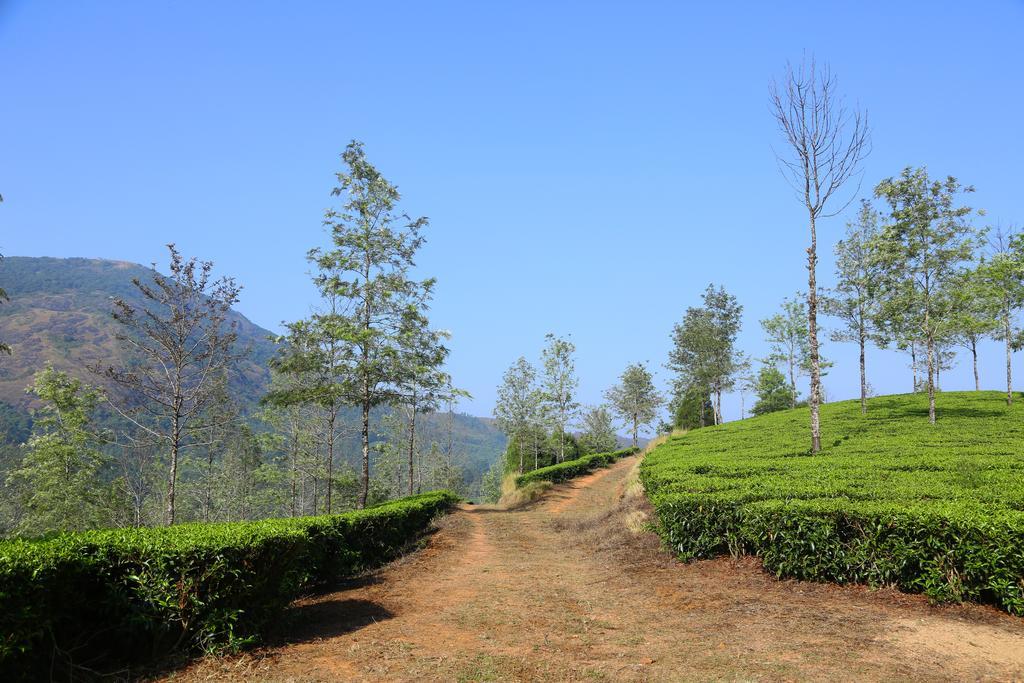 Pavithram Homestay Муннар Екстер'єр фото